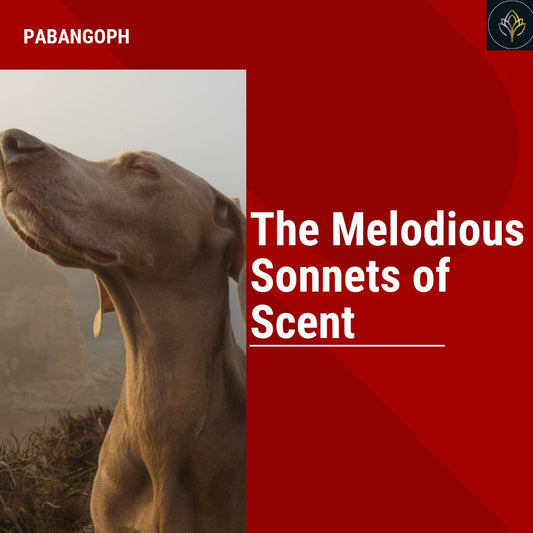 The Melodious Sonnets of Scent