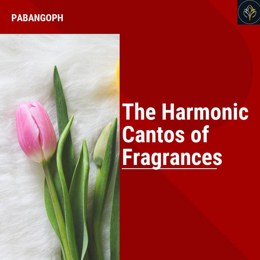 The Harmonic Cantos of Fragrances