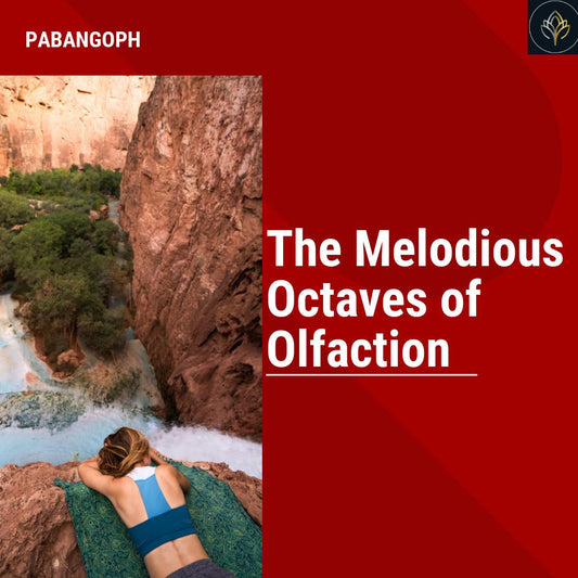 The Melodious Octaves of Olfaction