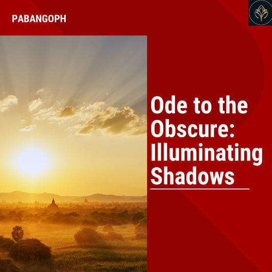 Ode to the Obscure: Illuminating Shadows