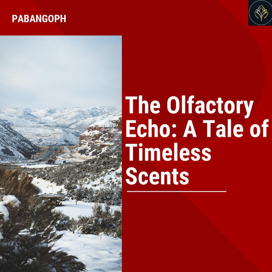 The Olfactory Echo: A Tale of Timeless Scents