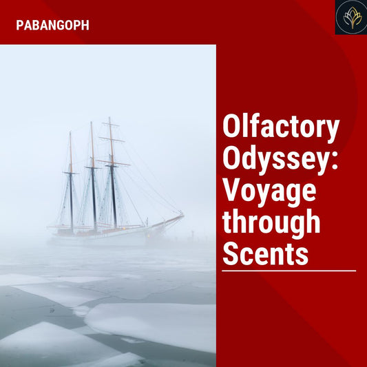 Olfactory Odyssey: Voyage through Scents