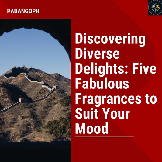 Discovering Diverse Delights: Five Fabulous Fragrances to Suit Your Mood