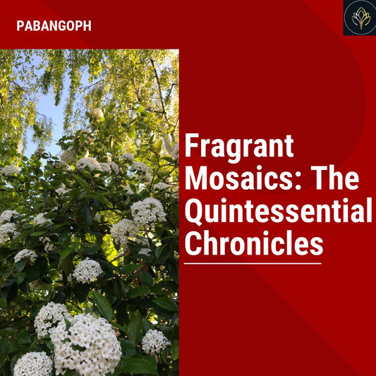 Fragrant Mosaics: The Quintessential Chronicles