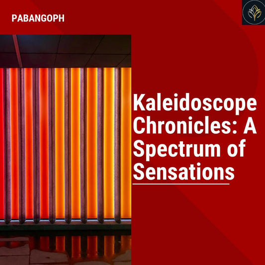 Kaleidoscope Chronicles: A Spectrum of Sensations