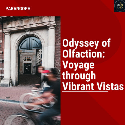 Odyssey of Olfaction: Voyage through Vibrant Vistas