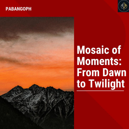 Mosaic of Moments: From Dawn to Twilight