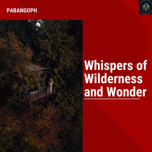 Whispers of Wilderness and Wonder