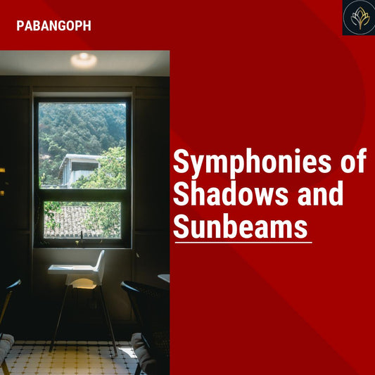 Symphonies of Shadows and Sunbeams