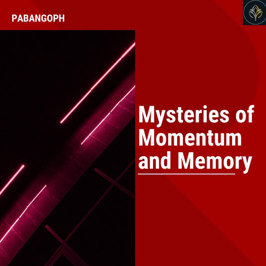 Mysteries of Momentum and Memory