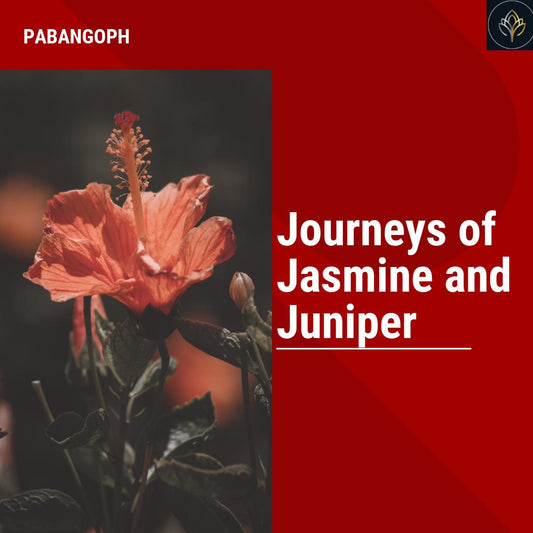 Journeys of Jasmine and Juniper