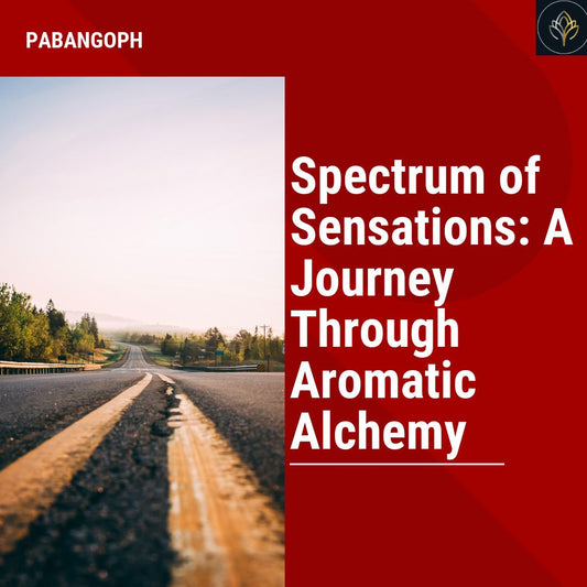 Spectrum of Sensations: A Journey Through Aromatic Alchemy