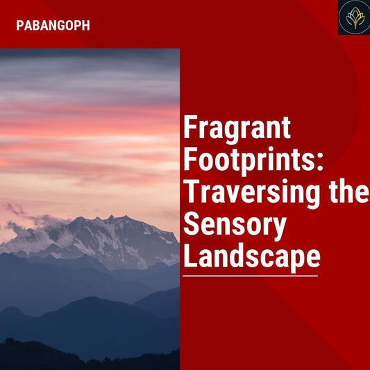 Fragrant Footprints: Traversing the Sensory Landscape