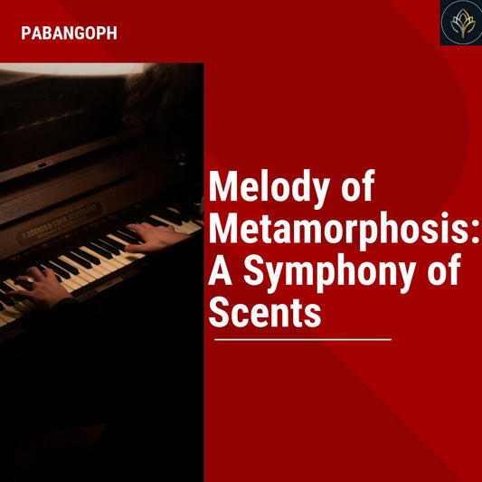 Melody of Metamorphosis: A Symphony of Scents