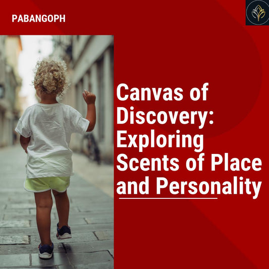 Canvas of Discovery: Exploring Scents of Place and Personality