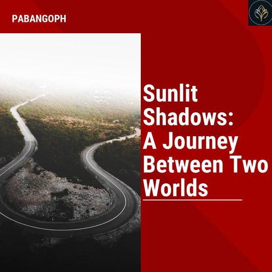 Sunlit Shadows: A Journey Between Two Worlds