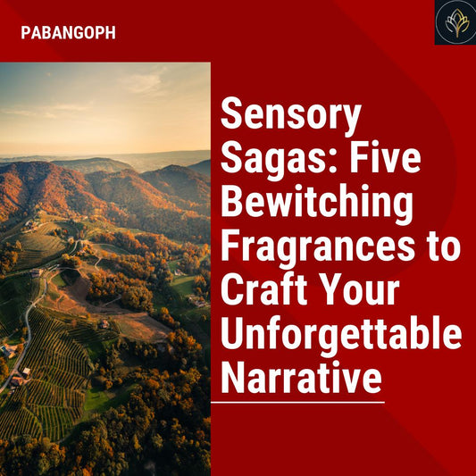 Sensory Sagas: Five Bewitching Fragrances to Craft Your Unforgettable Narrative