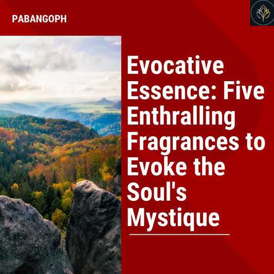 Evocative Essence: Five Enthralling Fragrances to Evoke the Soul's Mystique