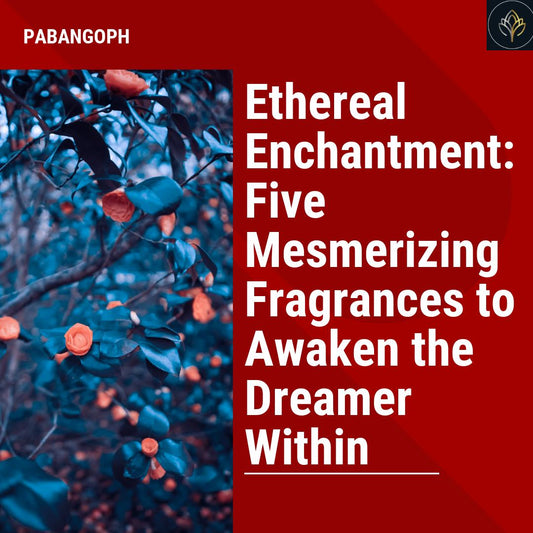 Ethereal Enchantment: Five Mesmerizing Fragrances to Awaken the Dreamer Within