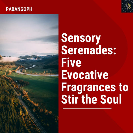 Sensory Serenades: Five Evocative Fragrances to Stir the Soul