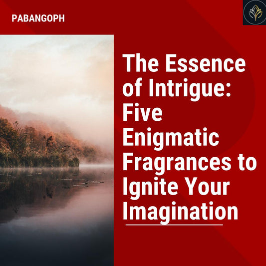 The Essence of Intrigue: Five Enigmatic Fragrances to Ignite Your Imagination