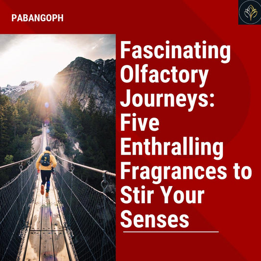 Fascinating Olfactory Journeys: Five Enthralling Fragrances to Stir Your Senses