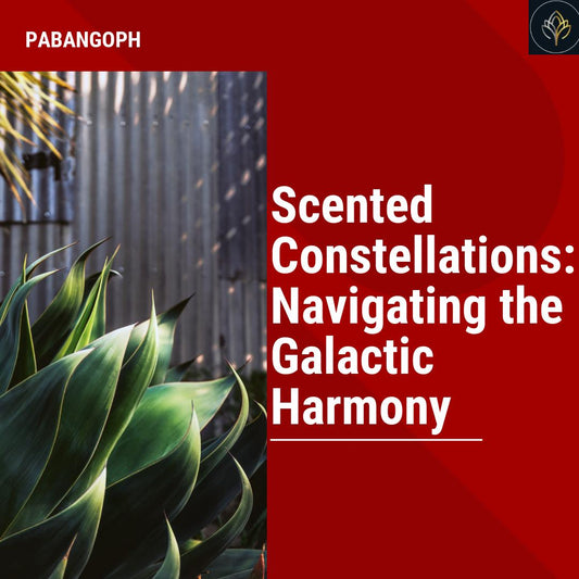 Scented Constellations: Navigating the Galactic Harmony