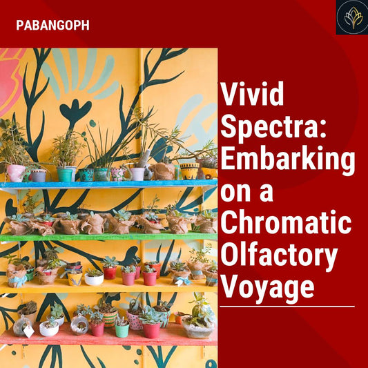 Vivid Spectra: Embarking on a Chromatic Olfactory Voyage