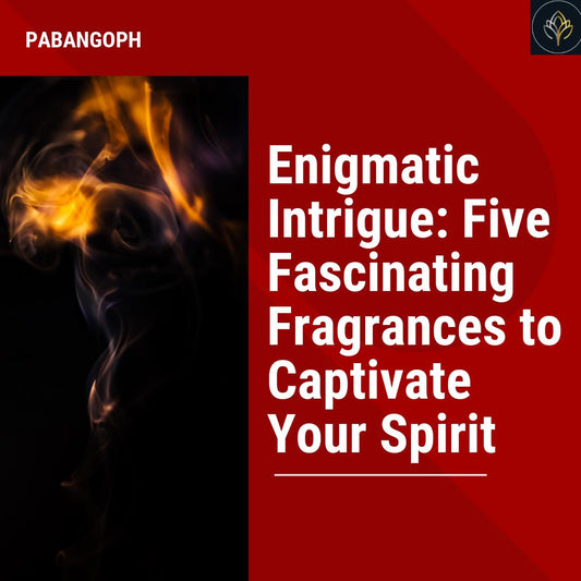 Enigmatic Intrigue: Five Fascinating Fragrances to Captivate Your Spirit