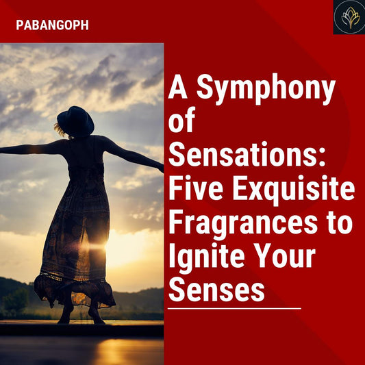 A Symphony of Sensations: Five Exquisite Fragrances to Ignite Your Senses