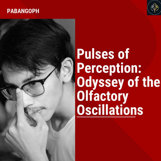 Pulses of Perception: Odyssey of the Olfactory Oscillations