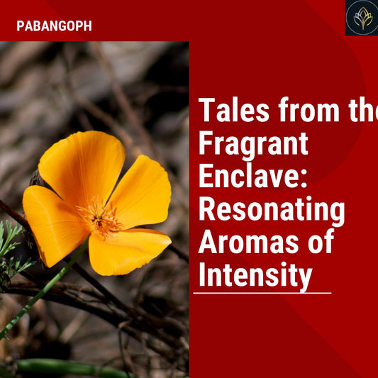 Tales from the Fragrant Enclave: Resonating Aromas of Intensity