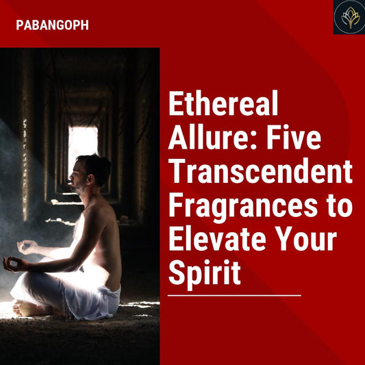 Ethereal Allure: Five Transcendent Fragrances to Elevate Your Spirit