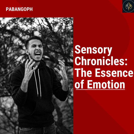 Sensory Chronicles: The Essence of Emotion