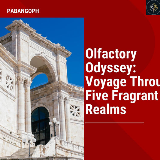 Olfactory Odyssey: Voyage Through Five Fragrant Realms