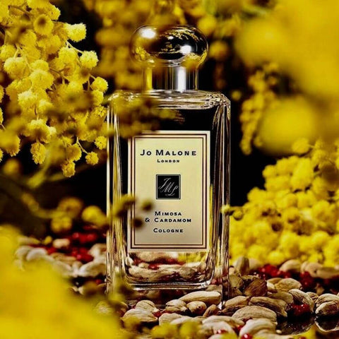 Jo Malone Mimosa & Cardamom Unisex Review - The Smooth and Spicy Blend of Freshness and Comfort