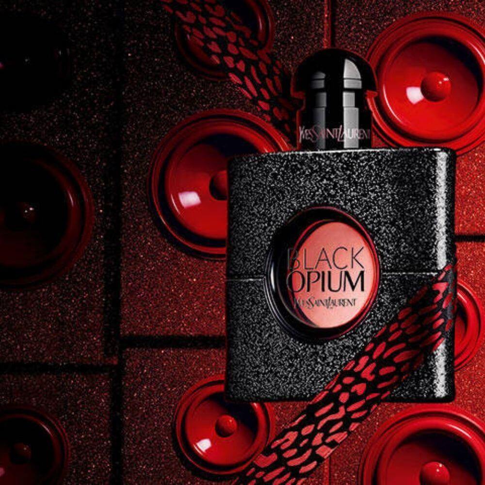 Yves Saint Laurent Perfume Collection - PabangoPH