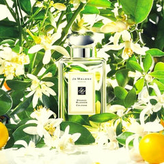 Jo Malone Orange Blossom Unisex 100ml - PabangoPH